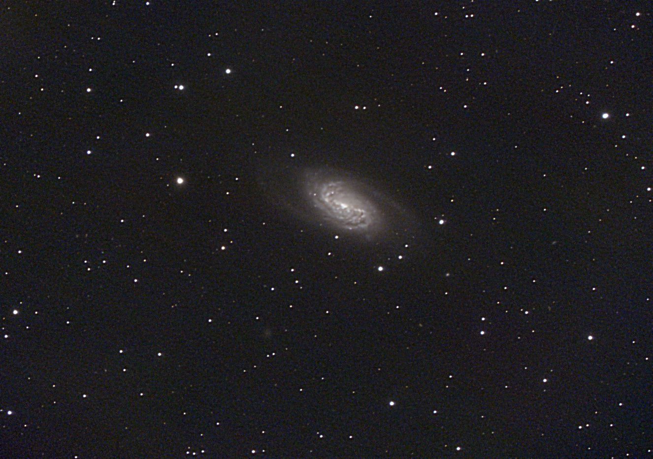 ngc 2903 2019 02 25